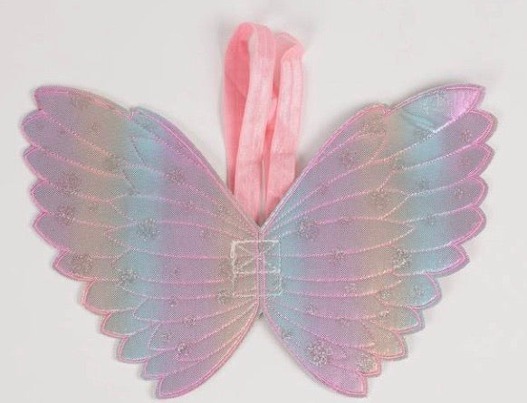 Rainbow wings