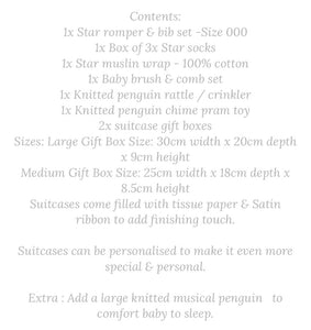 Penguin & Stars suitcase gift