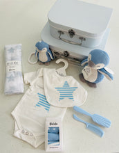 Penguin & Stars suitcase gift